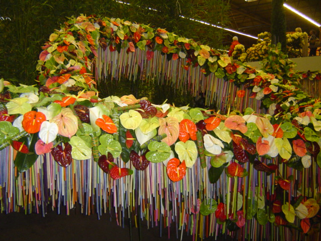 2010-gand-les-floralies-101