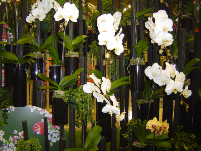2010-gand-les-floralies-107