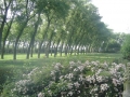 jardins_belgique_20